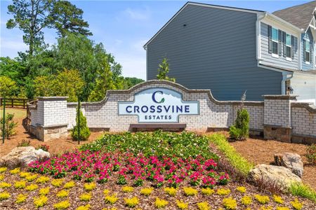New construction Single-Family house 40 Cava Ter, Braselton, GA 30517 Greenbriar- photo 0