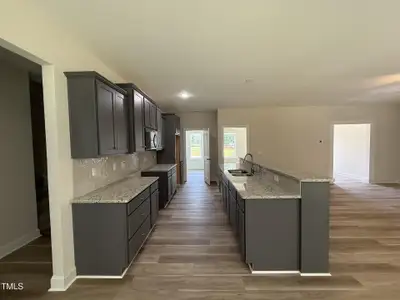 New construction Single-Family house 93 Hot Springs Wy, Benson, NC 27504 - image 4