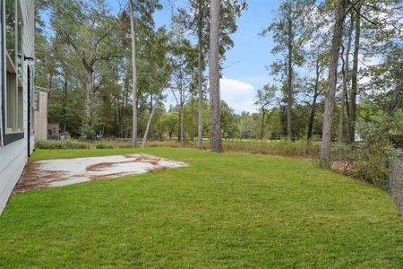 New construction Single-Family house 1100 Franconia Drive, Conroe, TX 77316 - photo 28 28