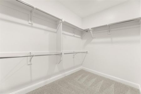New construction Single-Family house 2141 Rhodora, Forney, TX 75126 Lombardi- photo 15 15