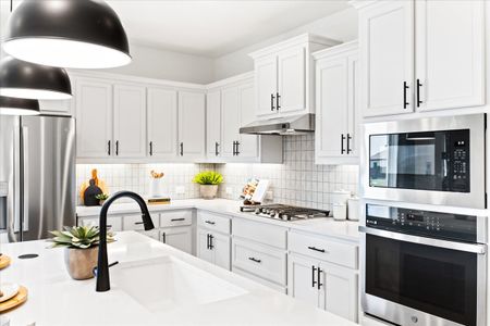 New construction Single-Family house 2112 Naples St, Celina, TX 75009 plan Richardson - image 10
