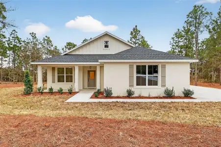 New construction Single-Family house 1543 County Rd 243A, Wildwood, FL 34785 - image