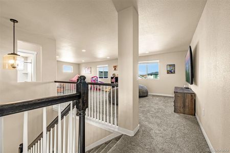 New construction Single-Family house 2475 Antica Ct, Colorado Springs, CO 80921 - image 9