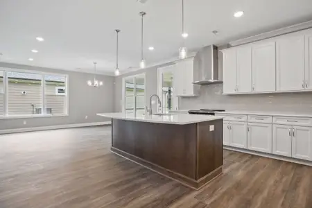 The Grove At Haven Hill by Cook Bros. Homes in Lenoir City - image 19