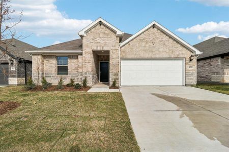 New construction Single-Family house 833 Sunflower Rd, Lavon, TX 75166 plan The Henderson - image
