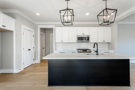 New construction Single-Family house 7038 Ooltewah-Georgetown Rd, Ooltewah, TN 37363 plan Carolina A - image 5