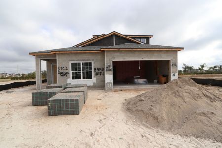 New construction Single-Family house 5762 Jeffries Way, Wesley Chapel, FL 33545 Newport II Bonus- photo 87 87