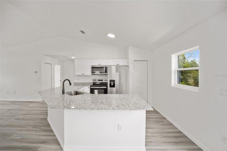 New construction Single-Family house 24078 Nw Geranium Avenue, Dunnellon, FL 34431 - photo 10 10