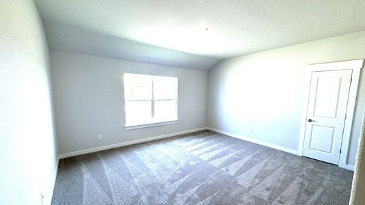 New construction Single-Family house 709 Red Wolf Dr, Jarrell, TX 76537 plan Paramount - image 15