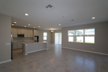 New construction Single-Family house 9489 Seagrass Port Pass, Wesley Chapel, FL 33545 Alenza- photo 53 53