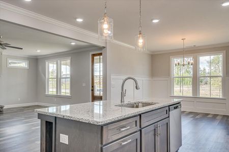 New construction Single-Family house 6236 Canterbury Farms Pkwy, Grovetown, GA 30813 - image 5