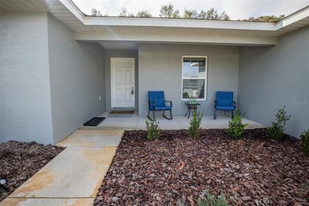 New construction Single-Family house 1482 Ne 160Th Pl, Citra, FL 32113 null- photo 7 7