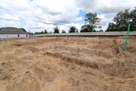 New construction Single-Family house 12168 Hilltop Farms Dr, Dade City, FL 33525 Malibu- photo 4 4