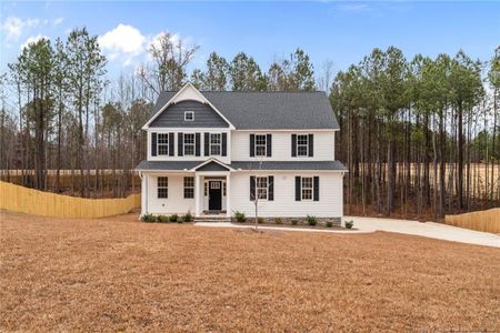 New construction Single-Family house 117 Godwin Ct, Sanford, NC 27330 - image