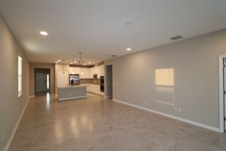 New construction Single-Family house 3142 Adams Cross Dr, Zephyrhills, FL 33540 Picasso- photo 111 111