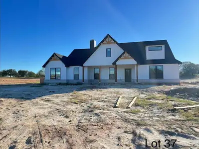 New construction Single-Family house 317 Jonny Boy Wy, Springtown, TX 76082 - image