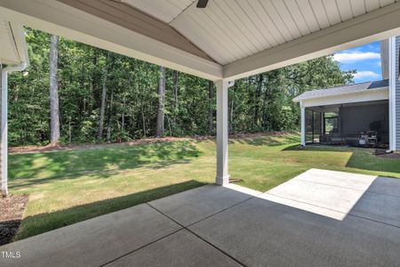 New construction Single-Family house 9152 Dupree Meadow Dr, Unit 12, Angier, NC 27501 - image 3