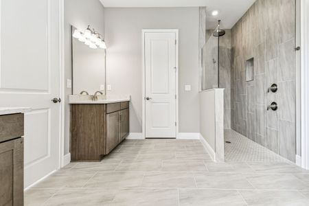 New construction Single-Family house 12505 White Blossom Ct, Parrish, FL 34219 plan Sapphire - image 11