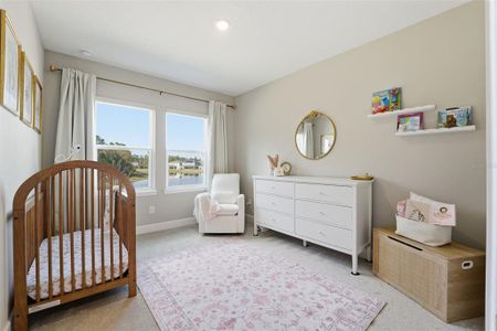 New construction Single-Family house 33525 Mainstay Ln, Wesley Chapel, FL 33543 - image 5