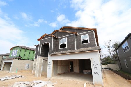 New construction Single-Family house 12134 Hilltop Farms Dr, Dade City, FL 33525 Malibu- photo 80 80