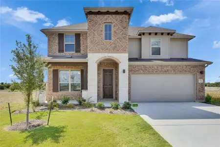 New construction Single-Family house 13504 Wandering Rhett Dr, Elgin, TX 78621 plan Rosewood - image