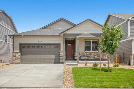 New construction Single-Family house 4646 Antler Court, Johnstown, CO 80534 CHATHAM- photo 0