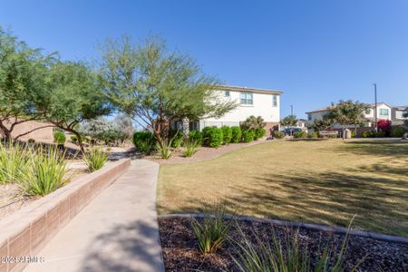 New construction Single-Family house 1315 W Bluejay Drive, Chandler, AZ 85286 - photo 32 32