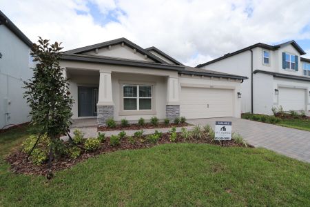 New construction Single-Family house 9492 Crescent Ray Dr, Wesley Chapel, FL 33545 Picasso- photo 3 3