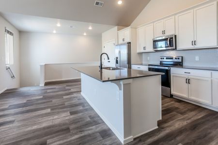 New construction Condo/Apt house 505 N Aria Way, Fort Collins, CO 80524 - photo 8 8