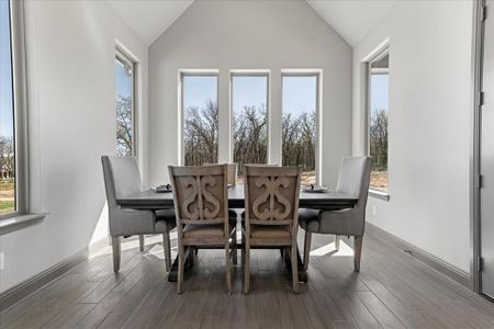 New construction Single-Family house 131 Spring Valley Rnch, Paradise, TX 76073 plan The Aylin - image 9