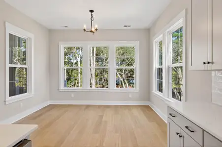 New construction Single-Family house 1430 Lieben Rd, Mount Pleasant, SC 29466 plan Kennedy - image 12
