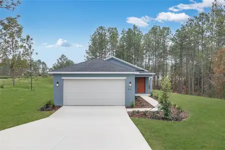 New construction Single-Family house 12915 Sw 86Th Cir, Ocala, FL 34473 plan Celeste - image