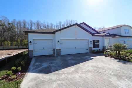 New construction Single-Family house 20339 Oriana Loop, Land O' Lakes, FL 34638 Newport II- photo 134 134