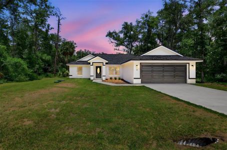 New construction Single-Family house 3 Sequoia Drive Trce, Ocklawaha, FL 32179 - image