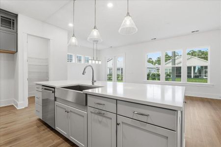 New construction Single-Family house 426 Evening Glow Ln, Summerville, SC 29486 plan Enthusiast - image 5