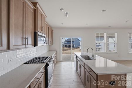 New construction Single-Family house 284 Supernova Dr, York, SC 29745 plan Jordan - image 9