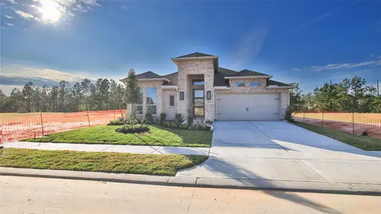 New construction Single-Family house 42687 Mystery Ln, Magnolia, TX 77354 plan 2251W - image