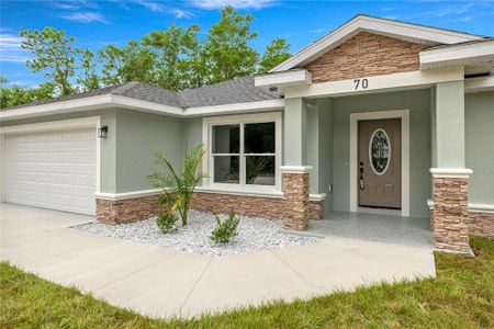 New construction Single-Family house 70 Bay Dr, Ocklawaha, FL 32179 - image