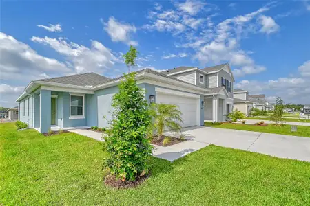 New construction Single-Family house 13028 Sassafras Trl, Parrish, FL 34219 - image 2