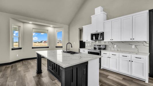 New construction Single-Family house 300 Jupiter Trl, Weatherford, TX 76088 - image 10