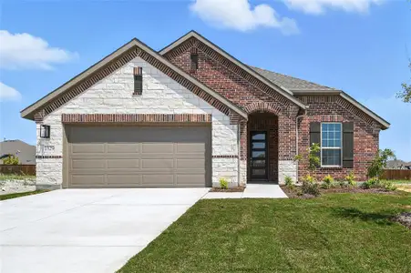 New construction Single-Family house 1329 Staffords Point Ln, Anna, TX 75409 plan Palm - image