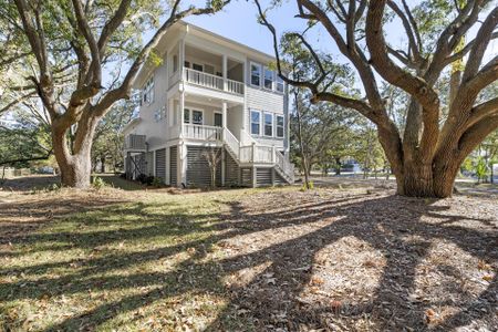 New construction Single-Family house 1461 Lieben Rd, Mount Pleasant, SC 29466 - image