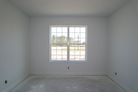 New construction Single-Family house 1971 Drummond Pt, Zephyrhills, FL 33541 Grandsail  III- photo 43 43