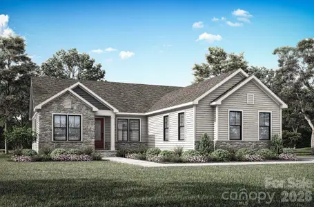 New construction Single-Family house 1253 Copper Leaf Dr, Rock Hill, SC 29732 - image