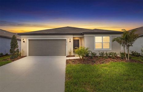 New construction Single-Family house 12812 Blue Reflection Ave, Parrish, FL 34219 plan Chapman - image