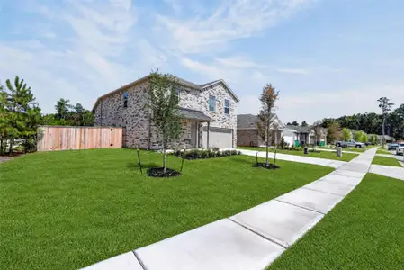 New construction Single-Family house 6107 Daintree Ct, Magnolia, TX 77316 plan Littleton - image