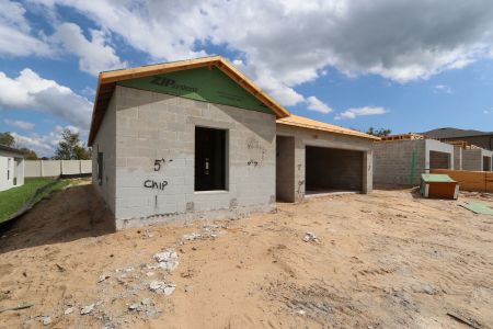 New construction Single-Family house 12188 Hilltop Farms Dr, Dade City, FL 33525 Ventura- photo 13 13