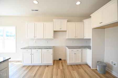 New construction Single-Family house 102 Hudson Village Dr, La Grange, NC 28551 - image 3