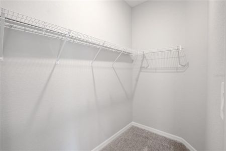 New construction Single-Family house 2646 Scenic Park Lp, Wimauma, FL 33598 plan Savannah - image 16