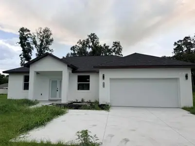 New construction Single-Family house 3500 Se 484, Belleview, FL 34420 - image